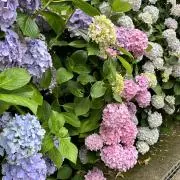 riii☺︎の画像