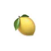 cの画像