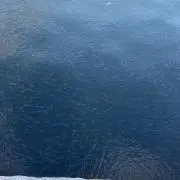 a7の画像