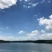 たか