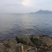 たか☆の画像