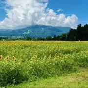 ⭐︎IGショップ⭐︎の画像