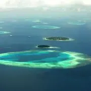 masa777の画像