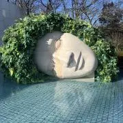 ベンジャミンの画像