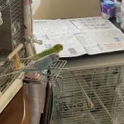 ぶう⭐︎プロフ必読の画像