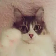 寿限無
