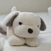 ねーねの画像