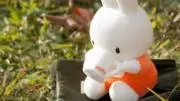 ♪の画像