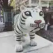 2525★の画像