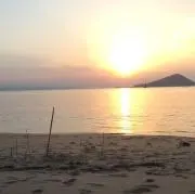 N_lionの画像