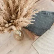 Koti