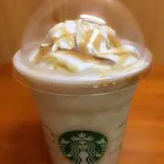 コニファーの画像