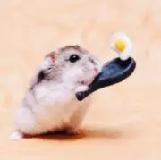 プロフィール必読！の画像