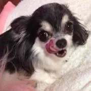 Nanase*＊