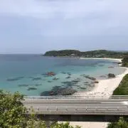 サンシローの画像