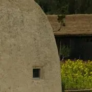 こあの画像
