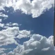 キリゲリの画像