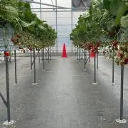 おの画像