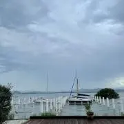ベティの画像