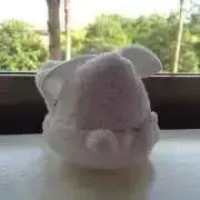 かつ鈍