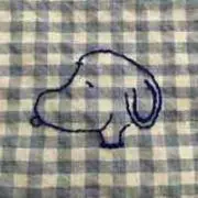 mtの画像