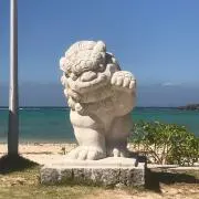 mocoの画像