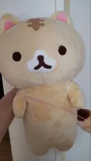 むっちゃんの画像