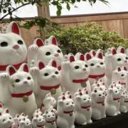 Kruの画像