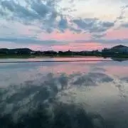 tkmの画像