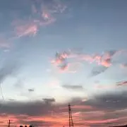 しきの画像