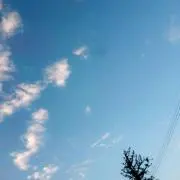 RARE☆の画像