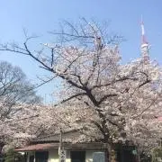 Yutoの画像
