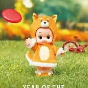 Kyk