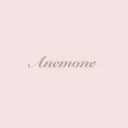 anemoneの画像