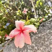 k*n様 極美品スクイッドマニア3.5号20本まとめ売り40 本収納