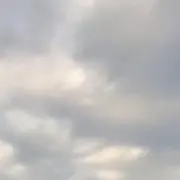 kamoの画像
