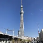 sho