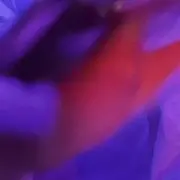 りな