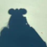 miiの画像