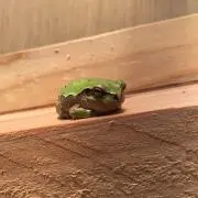 いきいき牛乳の画像