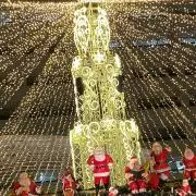 はの画像
