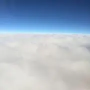 ミー