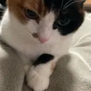 やまだの画像