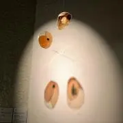 てっちの画像