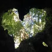 ( ˘͈ ᵕ ˘͈  )の画像