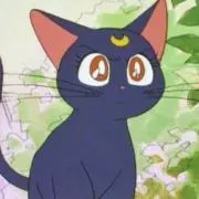Rの画像
