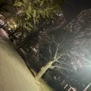 かっぴーの画像