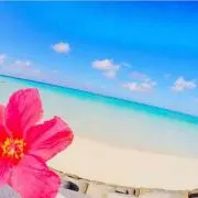 a-chanの画像
