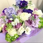 Rの画像