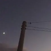 ぴ ぃ